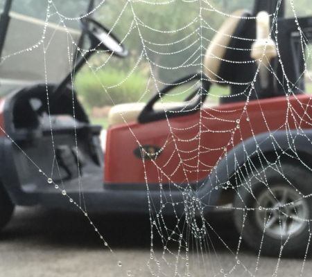 web and cart